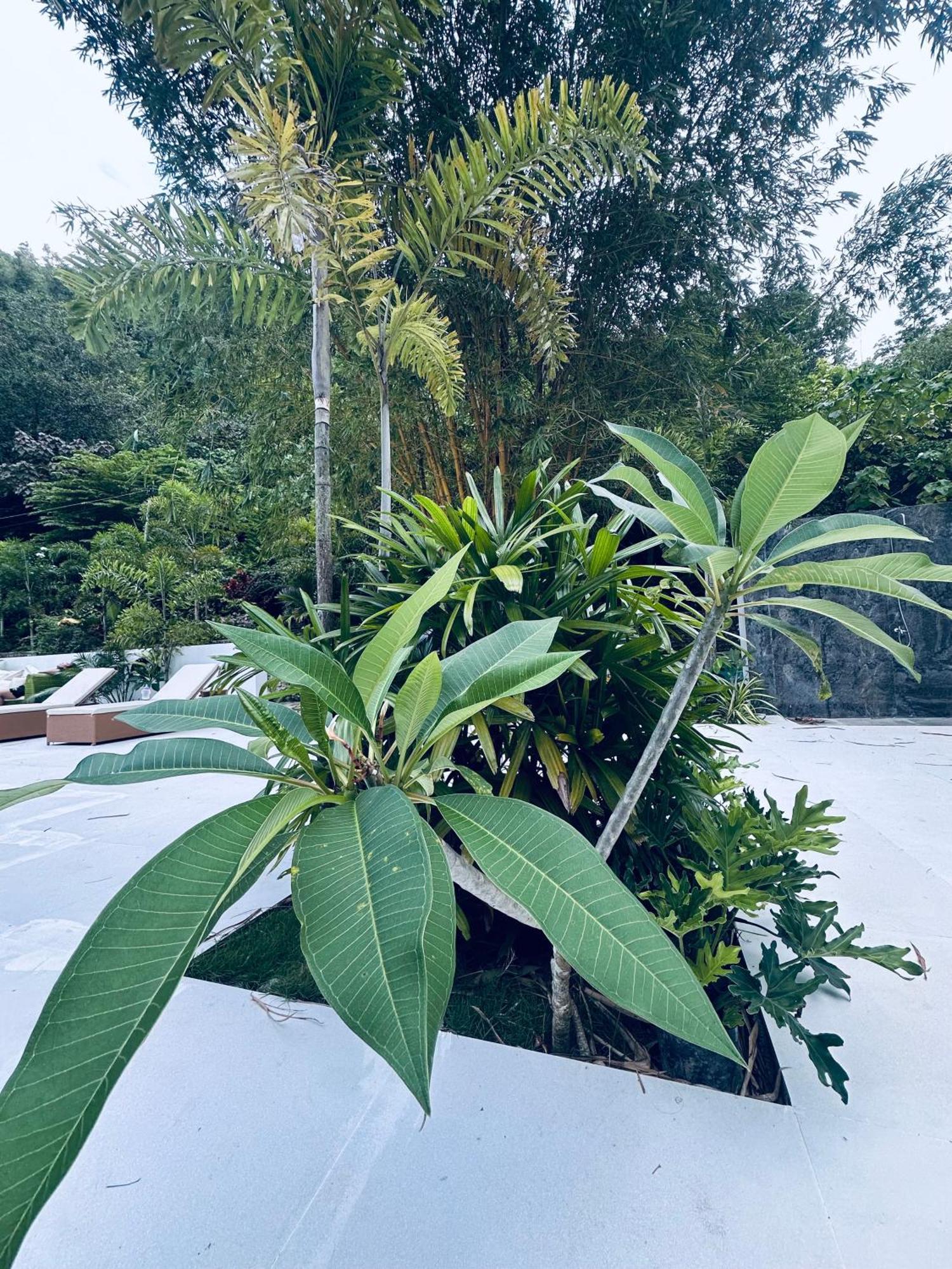 Villa Del Sol 1 Barkada Rooms Carcar ภายนอก รูปภาพ